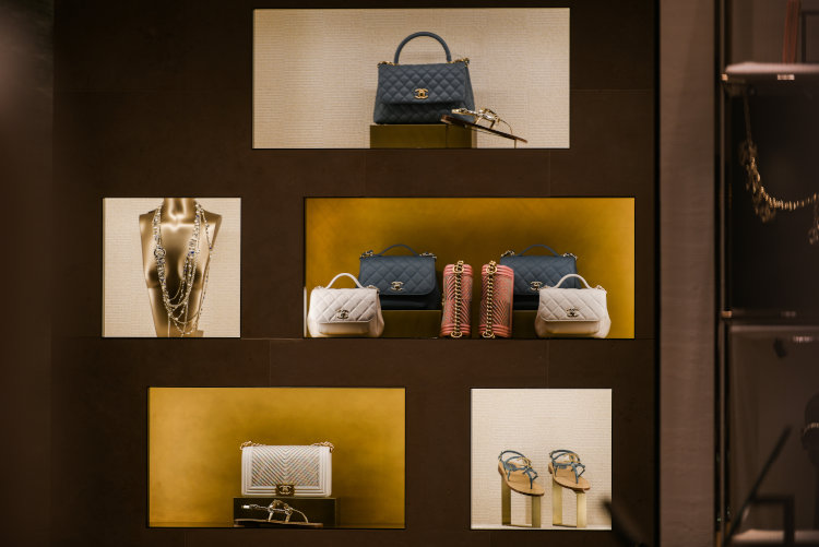 Chanel Bags Showcase